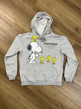 Snoopy Woodstock Happiness Peanuts Graphic Hoodie Gray M L